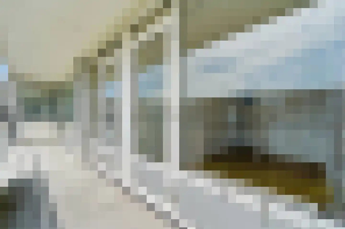 Parelmoerhorst 63 Den Haag thumbnail 5