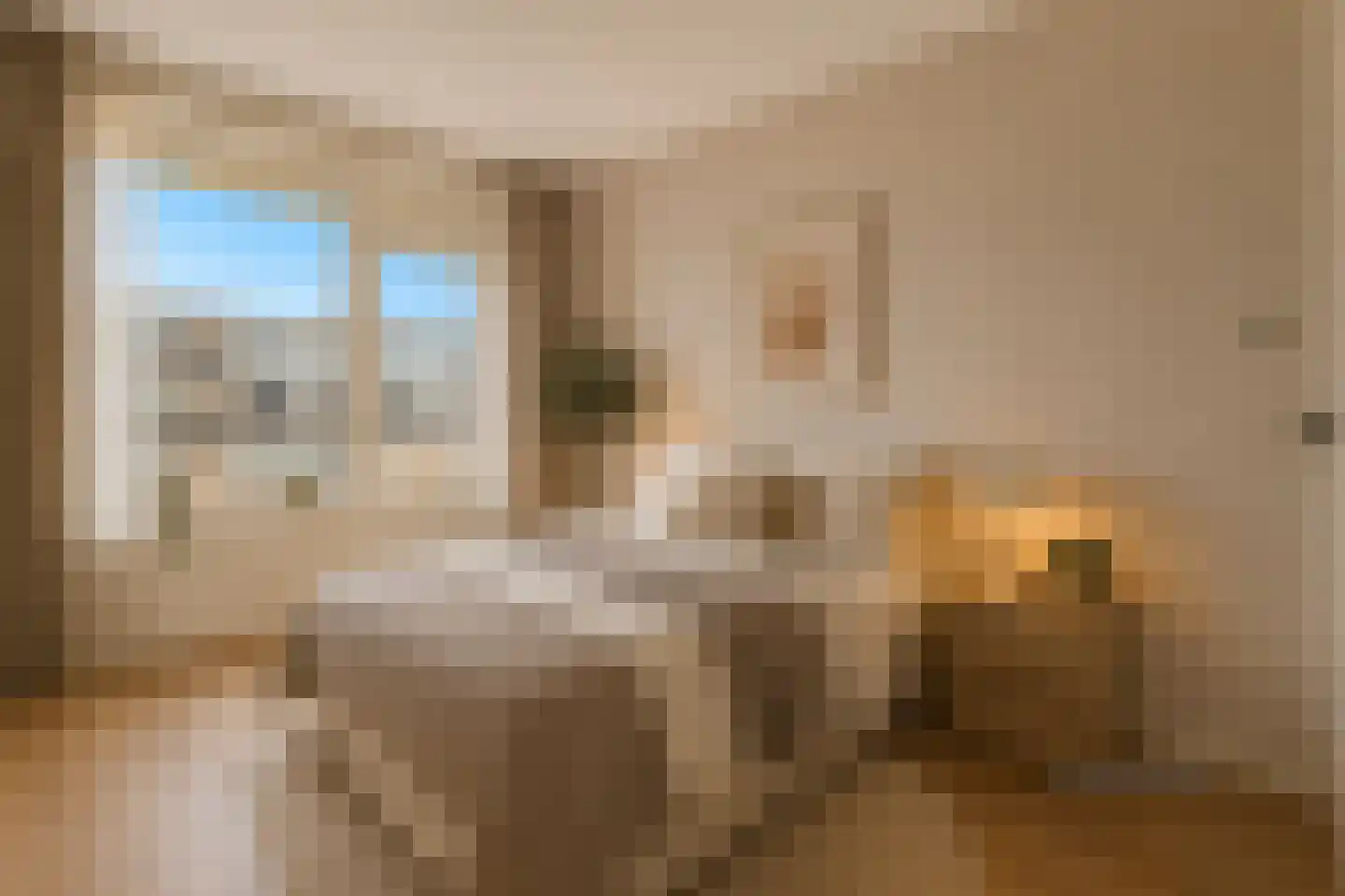 Parelmoerhorst 63 Den Haag thumbnail 9