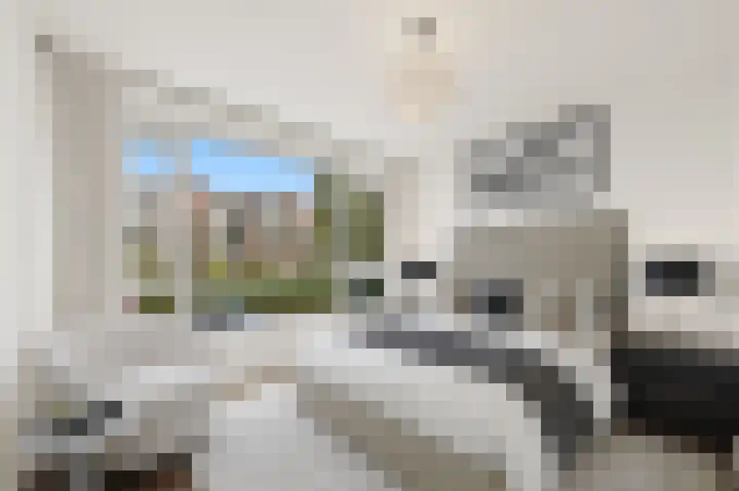 Parelmoerhorst 75 Den Haag thumbnail 23