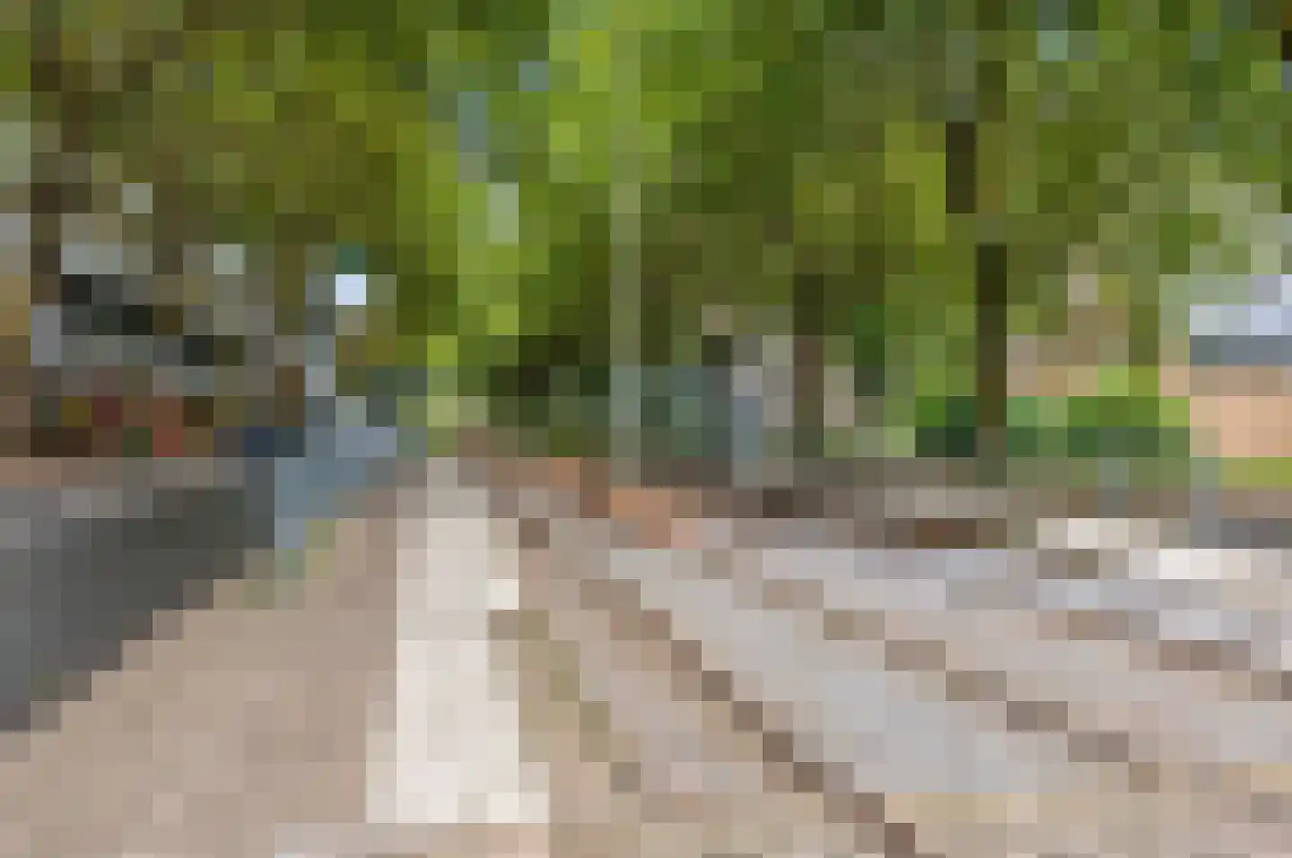 Parelmoerhorst 75 Den Haag thumbnail 31