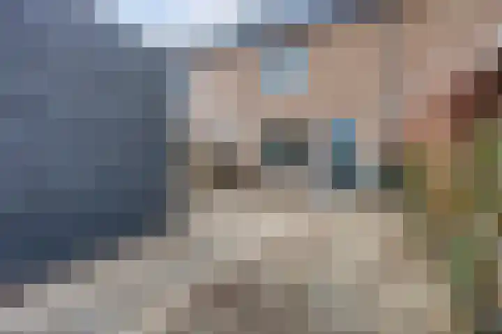 Parelmoervlinder 102 Enschede thumbnail 30