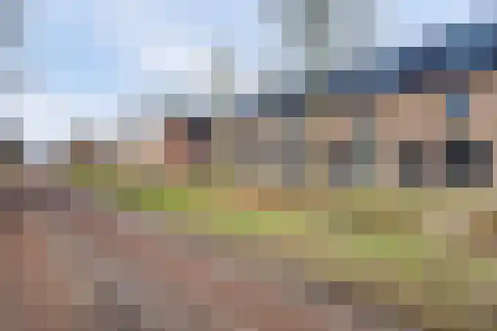 Parelmoervlinder 102 Enschede thumbnail 34