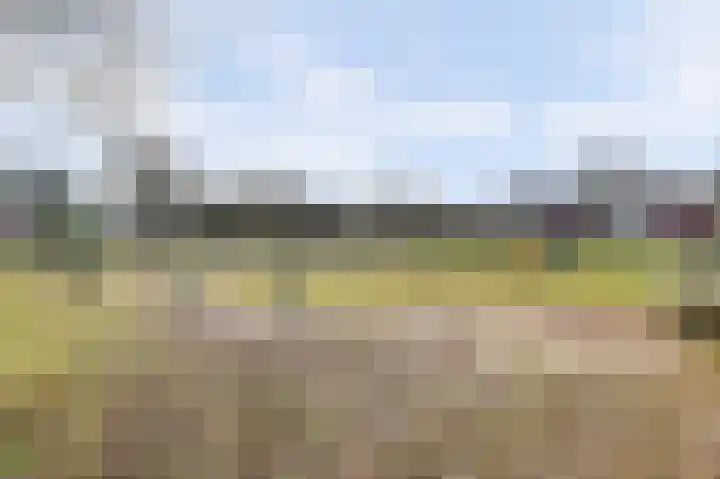 Parelmoervlinder 102 Enschede thumbnail 37