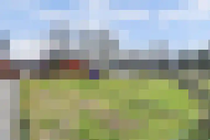 Parelmoervlinder 102 Enschede thumbnail 38
