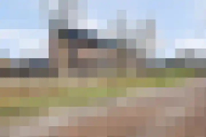 Parelmoervlinder 102 Enschede thumbnail 4