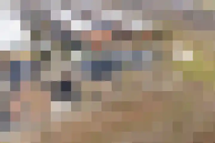 Parelmoervlinder 102 Enschede thumbnail 5