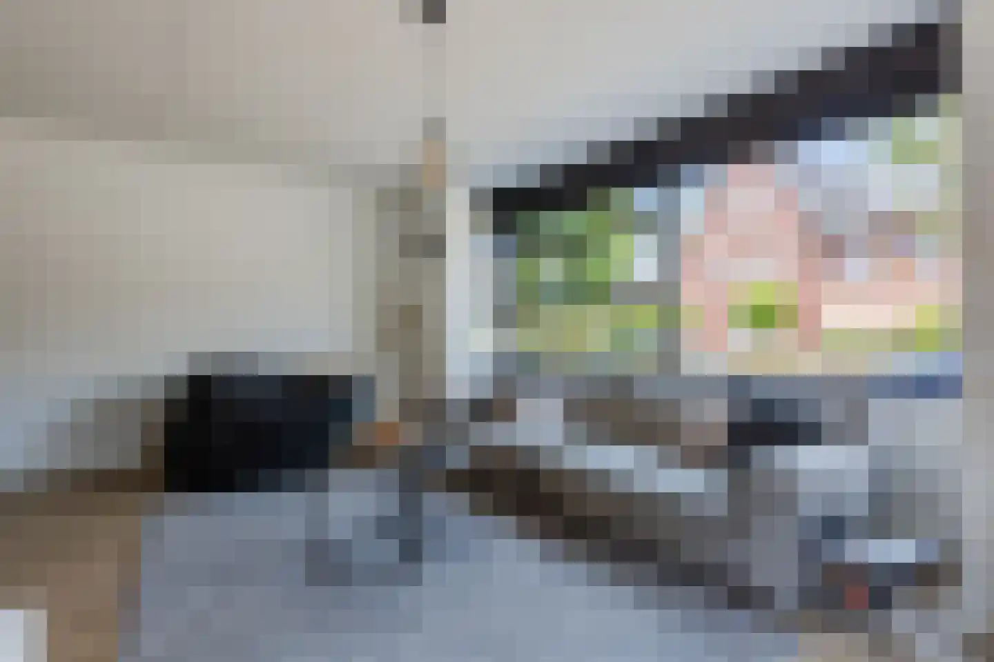 Parelmoervlinder 11 Oosterhout thumbnail 10