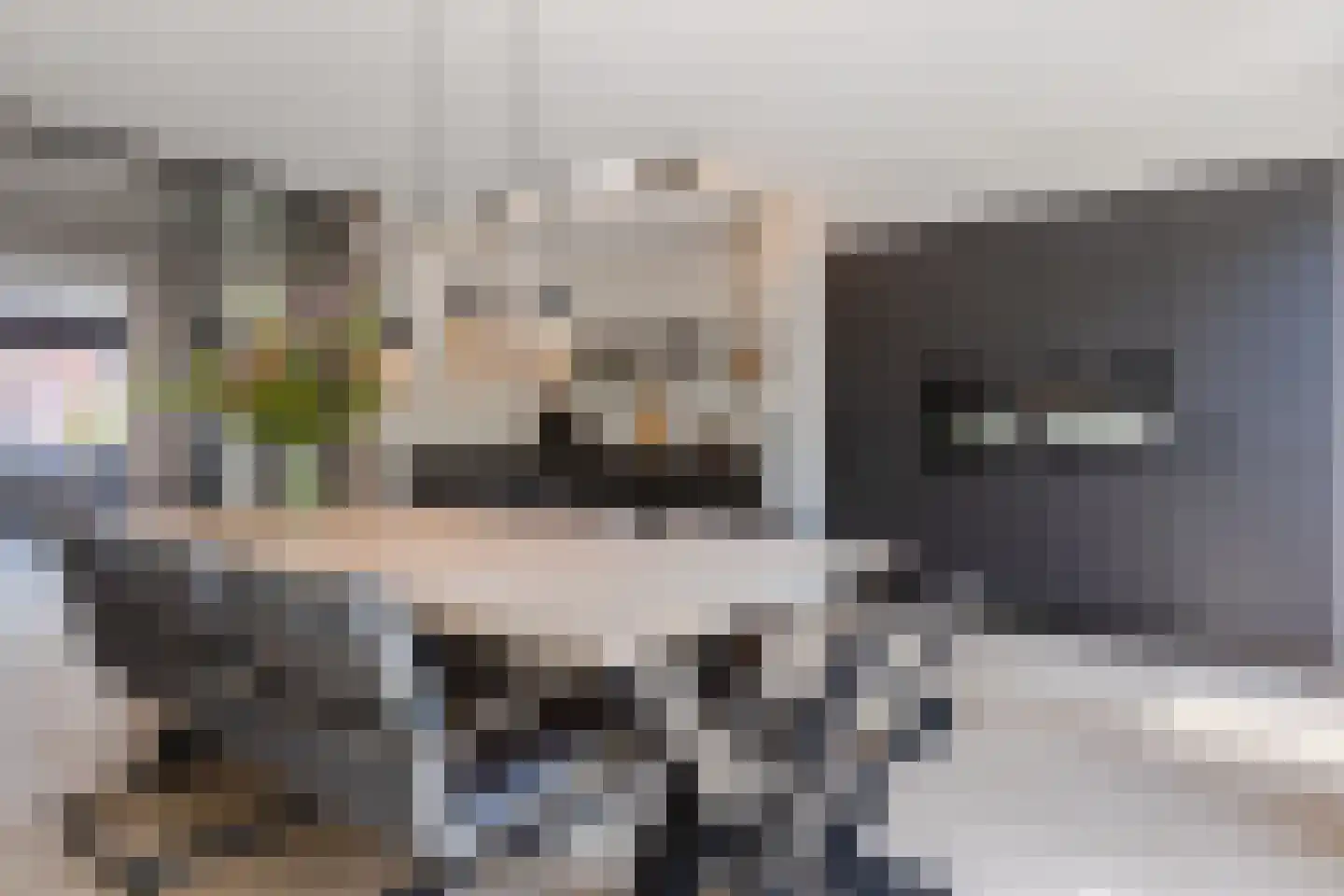Parelmoervlinder 11 Oosterhout thumbnail 13