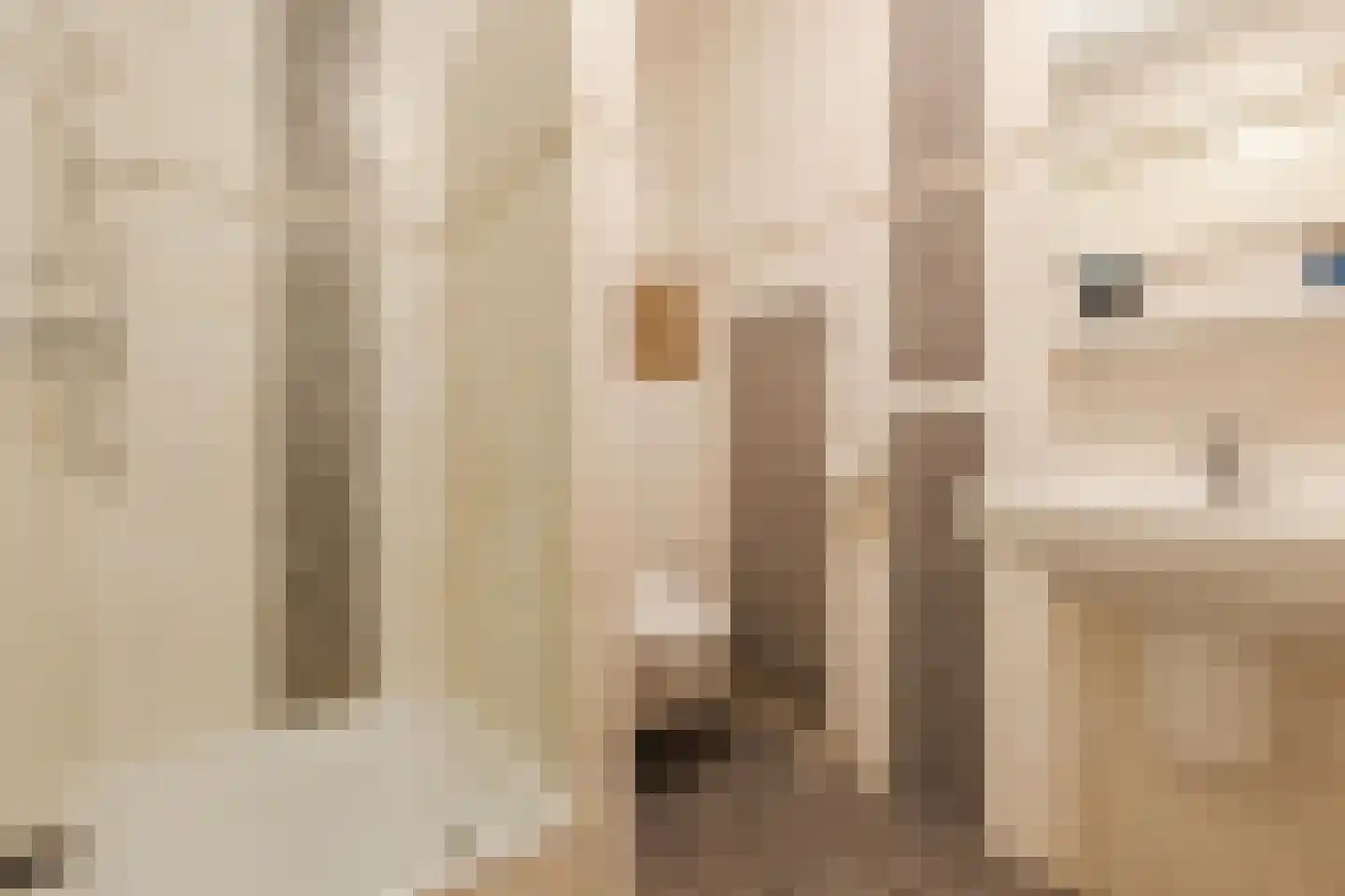 Parelmoervlinder 11 Oosterhout thumbnail 28