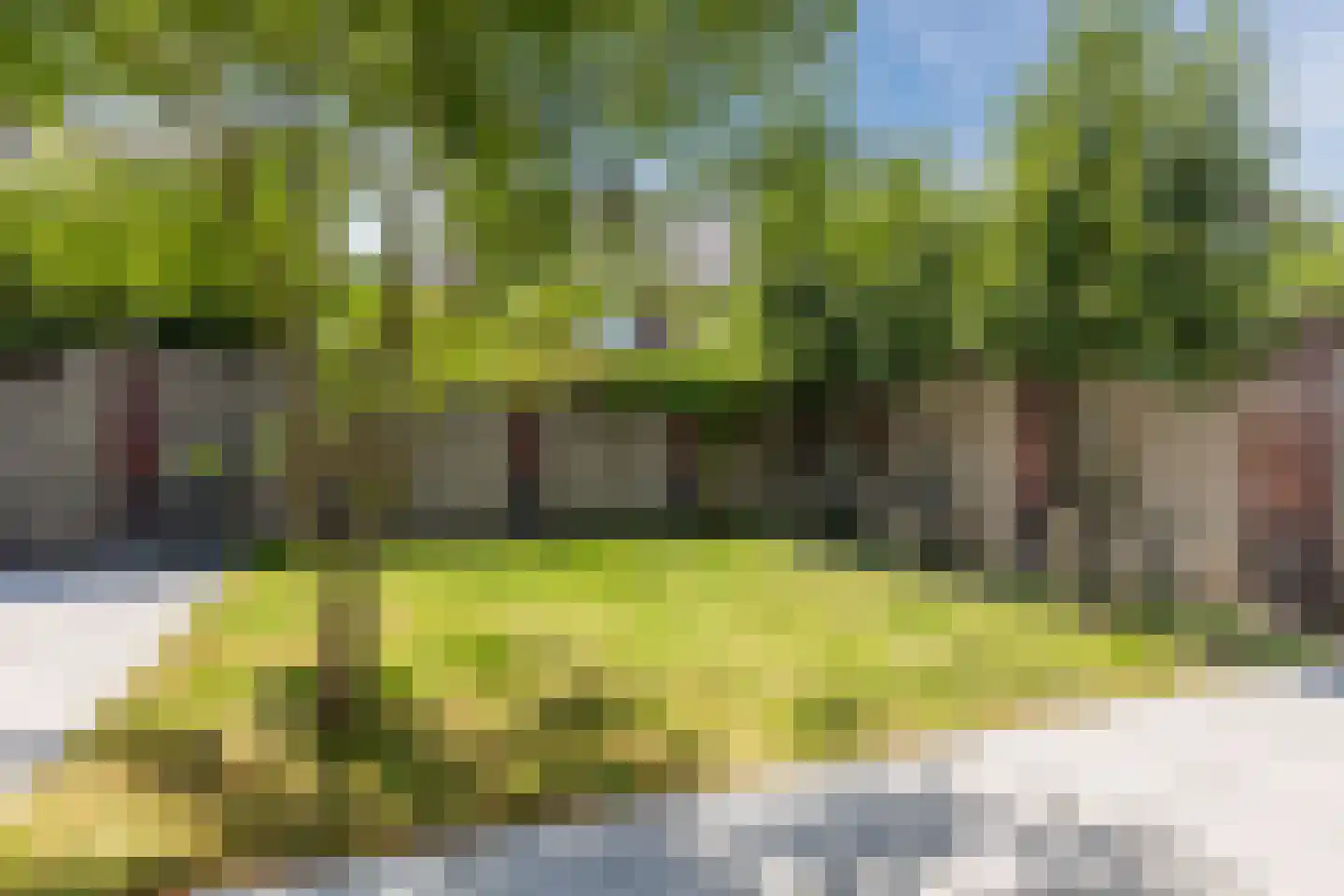 Parelmoervlinder 11 Oosterhout thumbnail 39