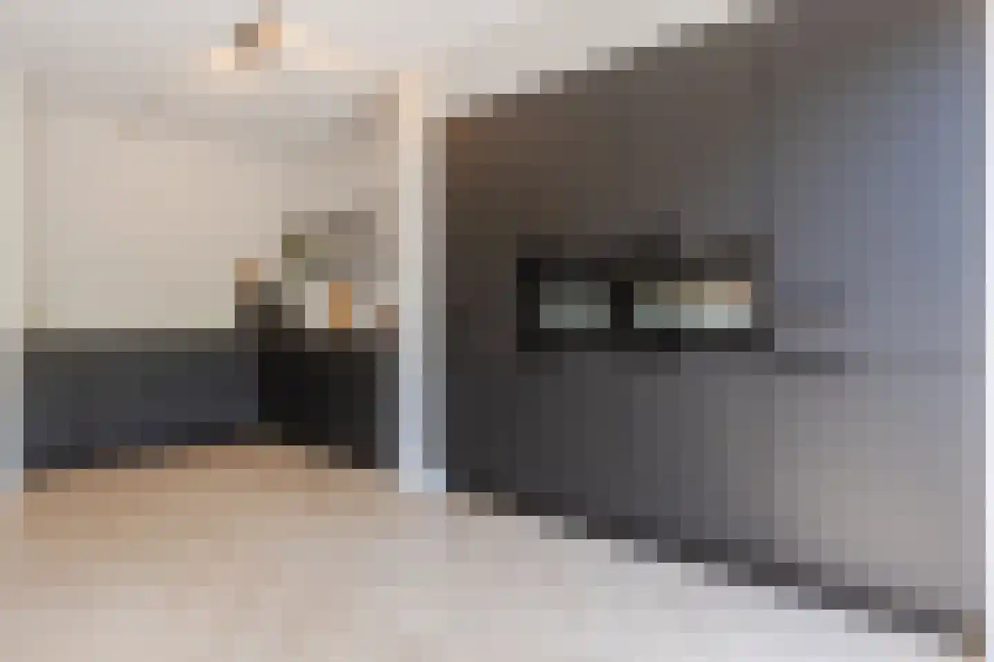 Parelmoervlinder 11 Oosterhout thumbnail 4
