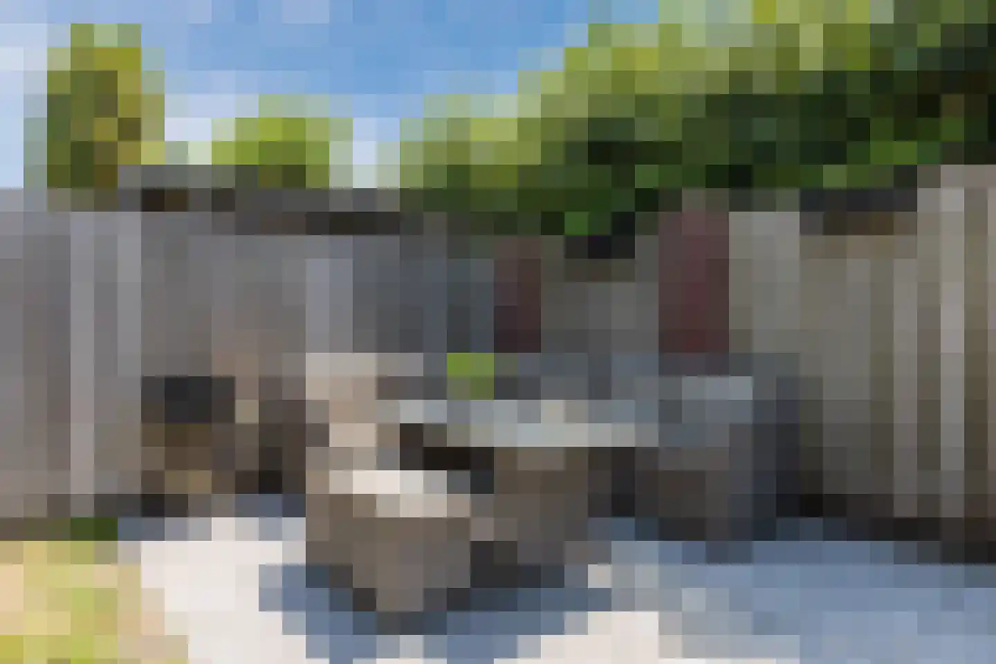 Parelmoervlinder 11 Oosterhout thumbnail 41