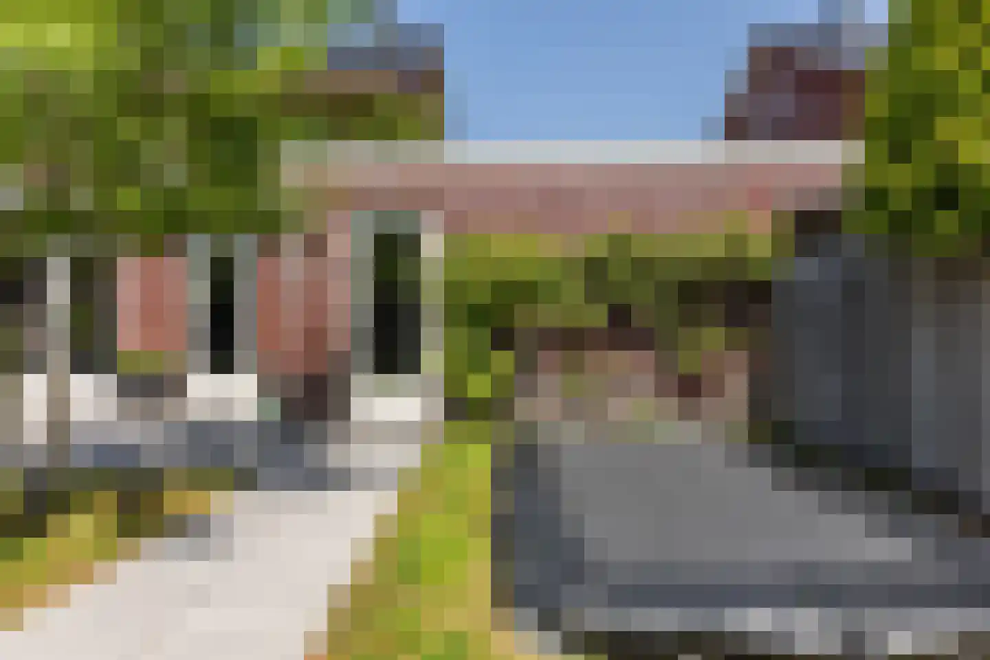 Parelmoervlinder 11 Oosterhout thumbnail 42