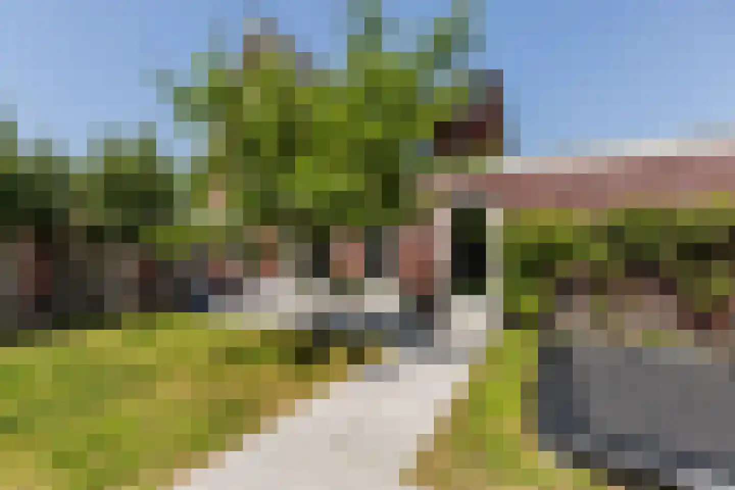 Parelmoervlinder 11 Oosterhout thumbnail 43