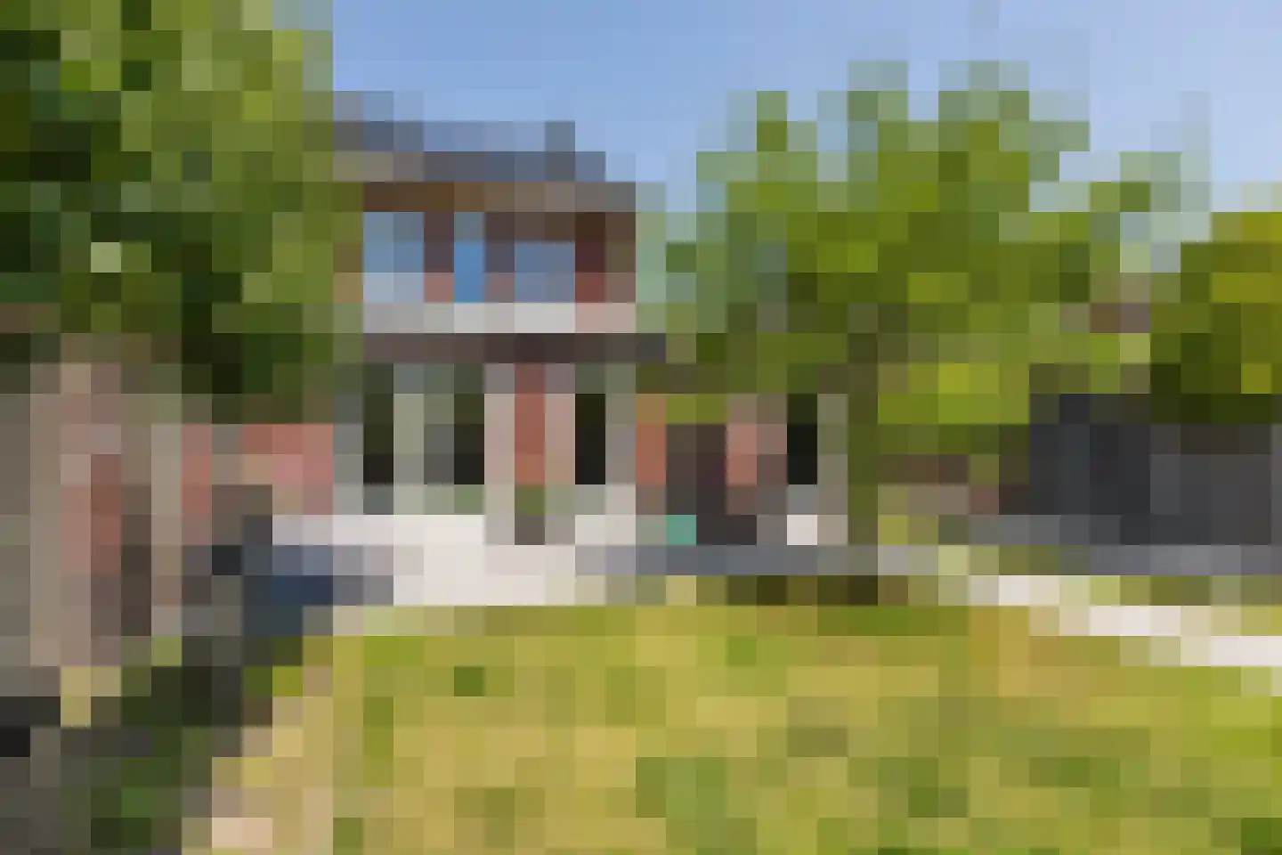 Parelmoervlinder 11 Oosterhout thumbnail 45