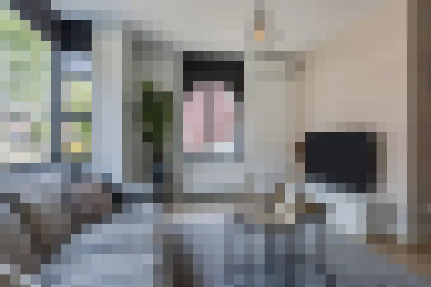 Parelmoervlinder 11 Oosterhout thumbnail 9