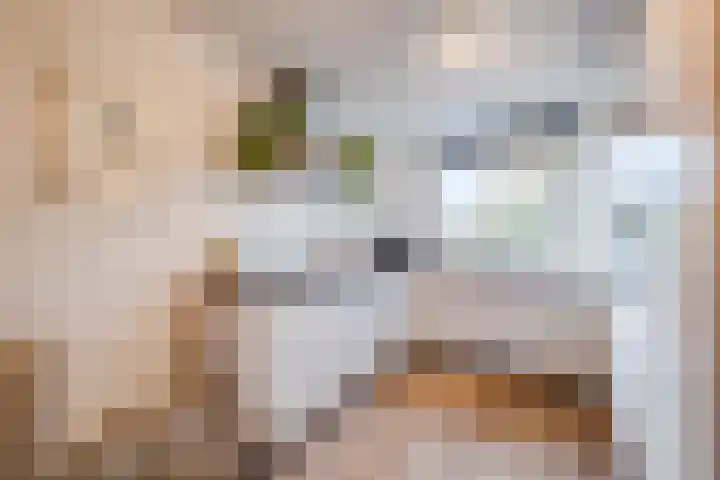 Parelmoervlinder 13 Meppel thumbnail 10