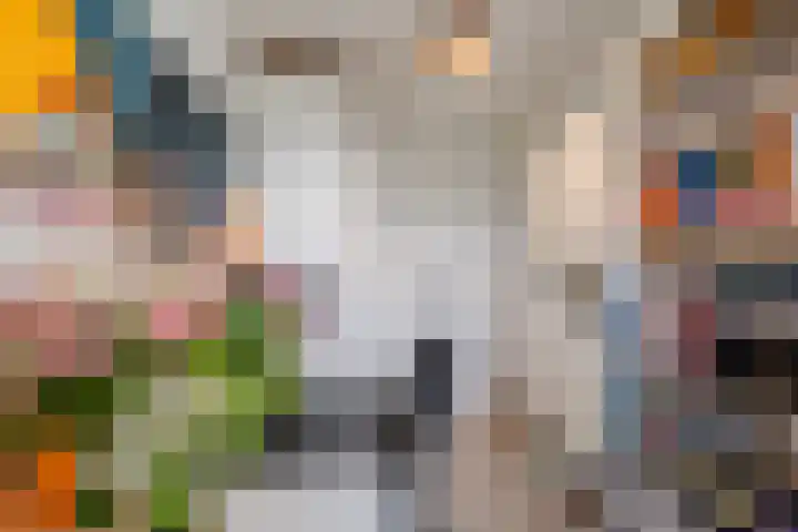 Parelmoervlinder 13 Meppel thumbnail 18