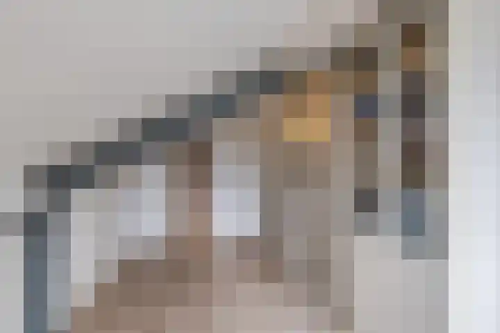 Parelmoervlinder 13 Meppel thumbnail 24