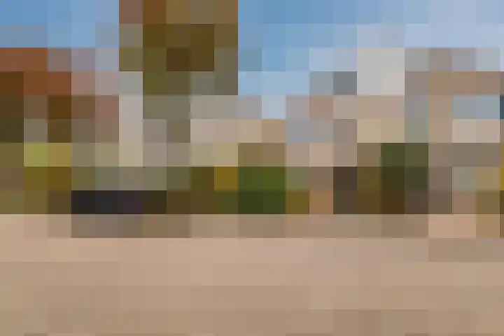 Parelmoervlinder 13 Meppel thumbnail 27