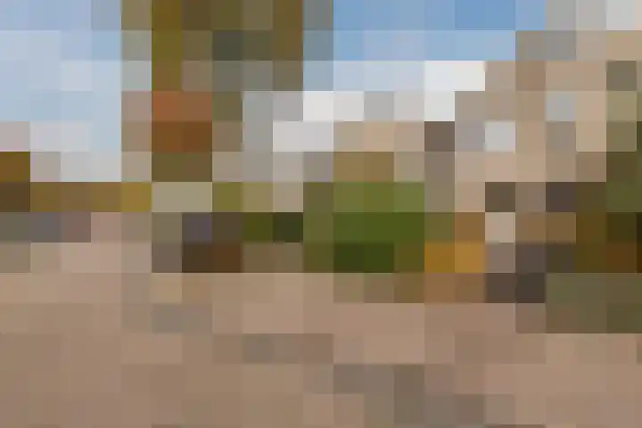 Parelmoervlinder 13 Meppel thumbnail 28