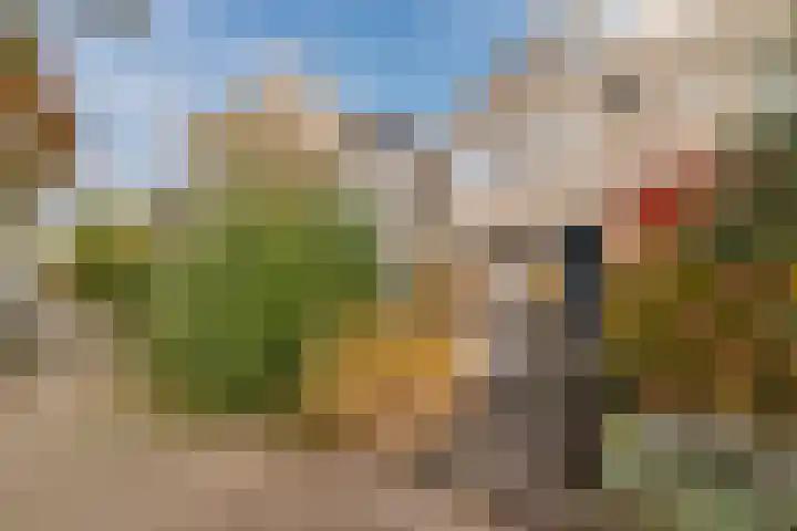 Parelmoervlinder 13 Meppel thumbnail 29