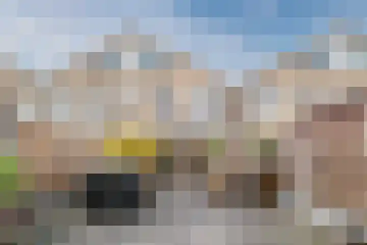 Parelmoervlinder 13 Meppel thumbnail 31