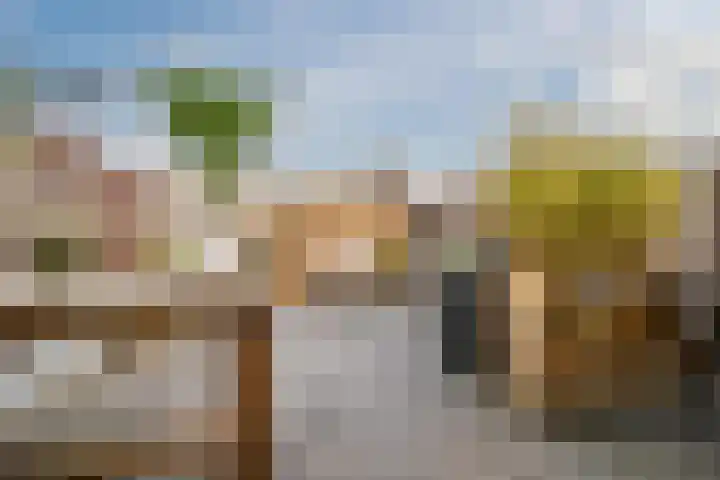 Parelmoervlinder 13 Meppel thumbnail 32