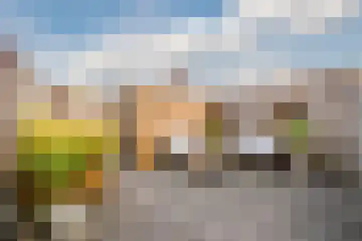 Parelmoervlinder 13 Meppel thumbnail 33