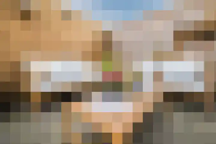 Parelmoervlinder 13 Meppel thumbnail 34