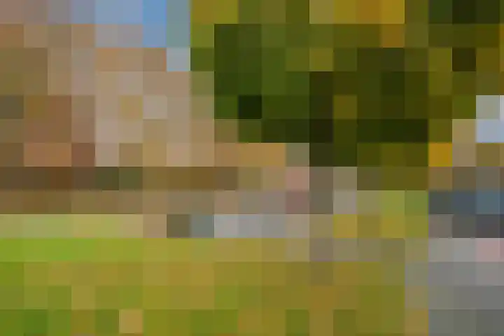 Parelmoervlinder 13 Meppel thumbnail 35