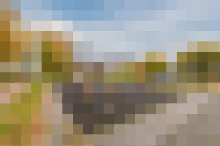 Parelmoervlinder 13 Meppel thumbnail 36