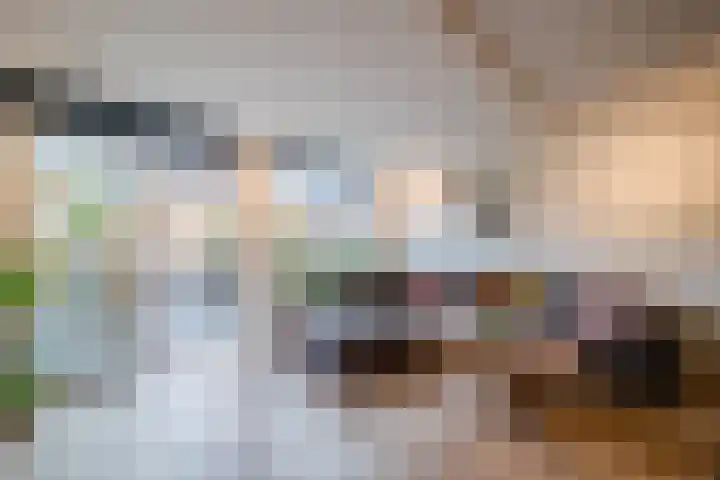 Parelmoervlinder 13 Meppel thumbnail 4