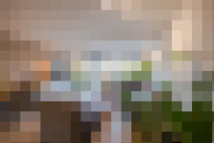 Parelmoervlinder 13 Meppel thumbnail 5