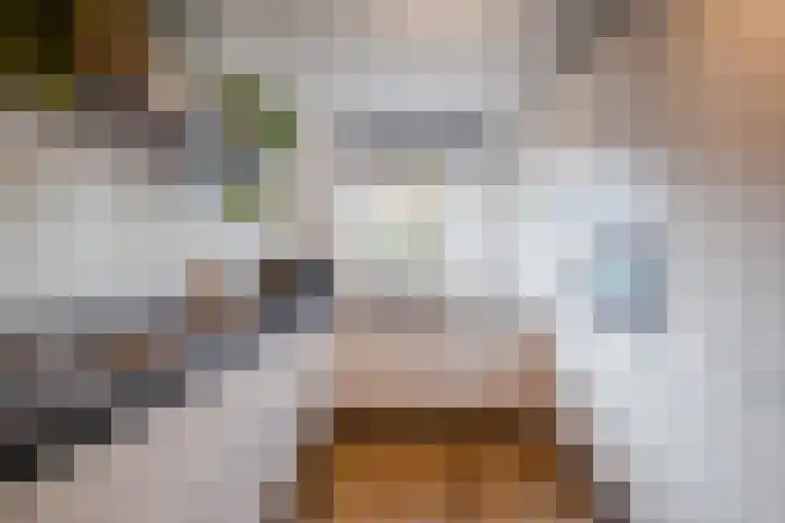 Parelmoervlinder 13 Meppel thumbnail 9