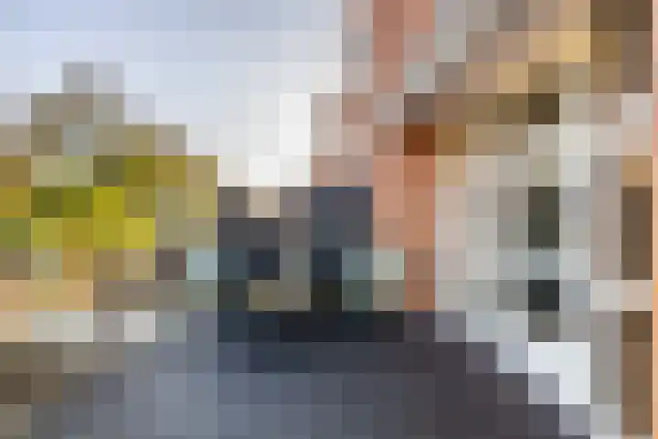 Parelmoervlinder 18 Sneek thumbnail 12