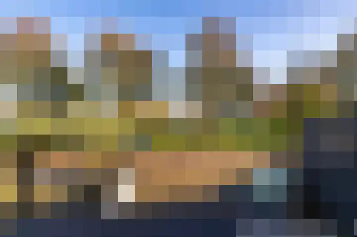 Parelmoervlinder 18 Sneek thumbnail 14