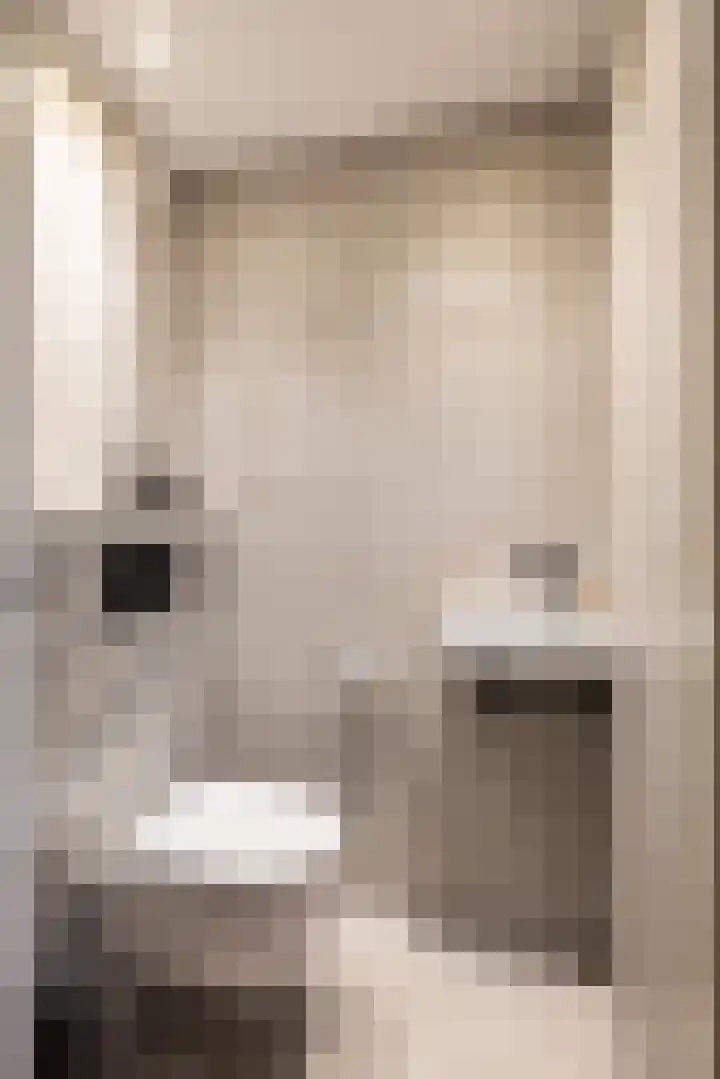 Parelmoervlinder 18 Sneek thumbnail 18