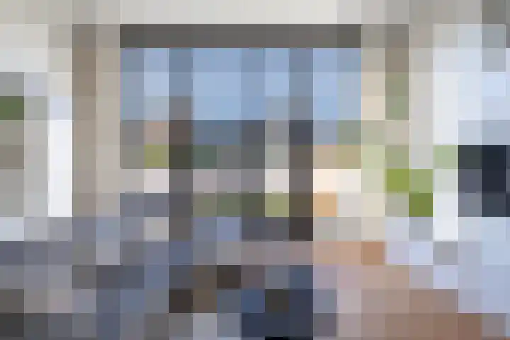 Parelmoervlinder 18 Sneek thumbnail 27