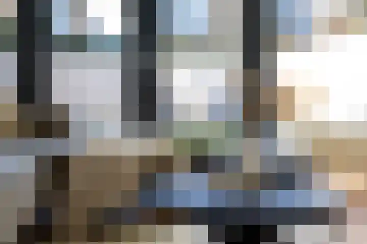 Parelmoervlinder 18 Sneek thumbnail 28