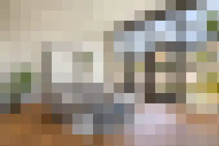 Parelmoervlinder 18 Sneek thumbnail 29