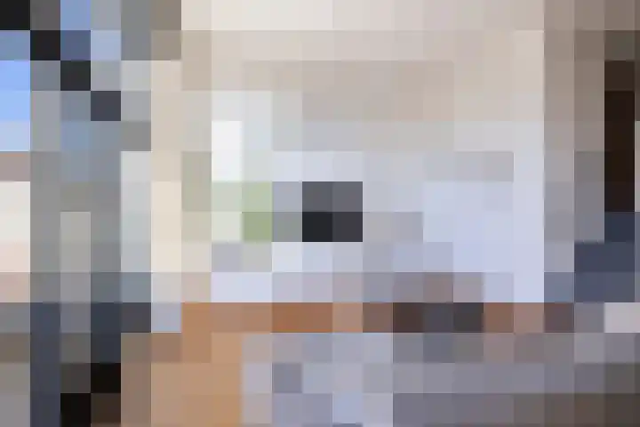 Parelmoervlinder 18 Sneek thumbnail 31