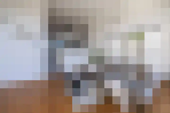 Parelmoervlinder 18 Sneek thumbnail 33