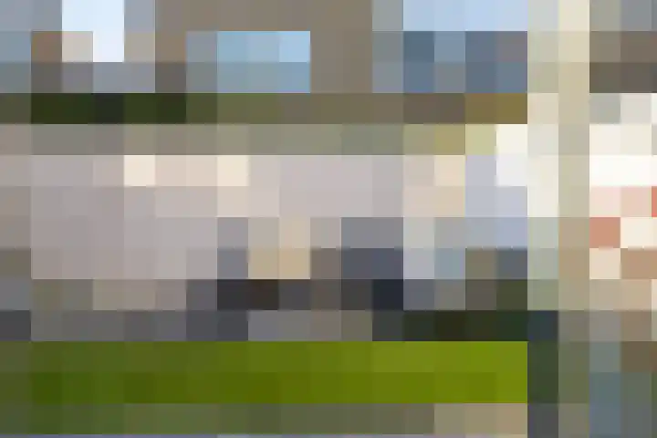 Parelmoervlinder 18 Sneek thumbnail 34