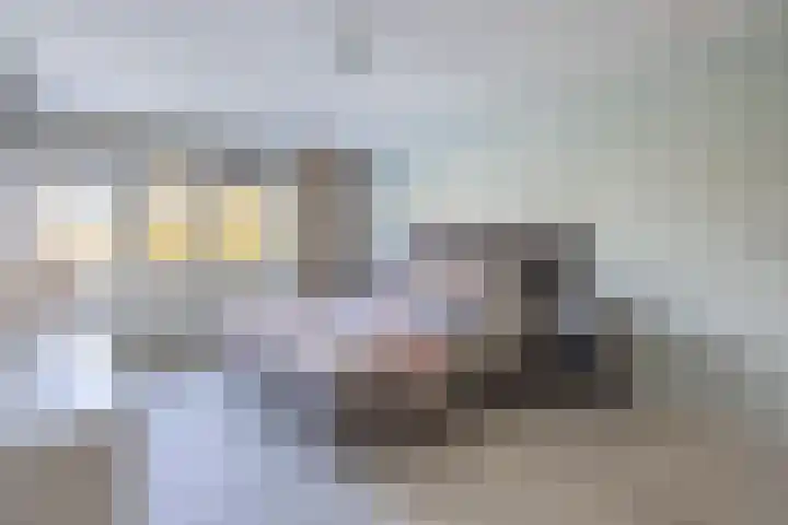 Parelmoervlinder 18 Sneek thumbnail 39