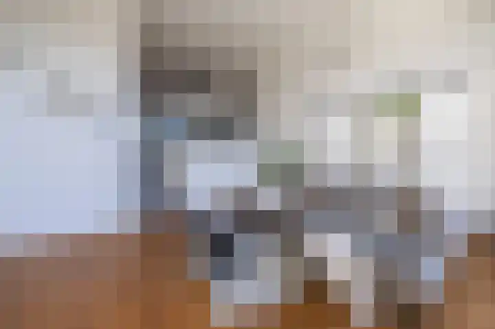 Parelmoervlinder 18 Sneek thumbnail 4