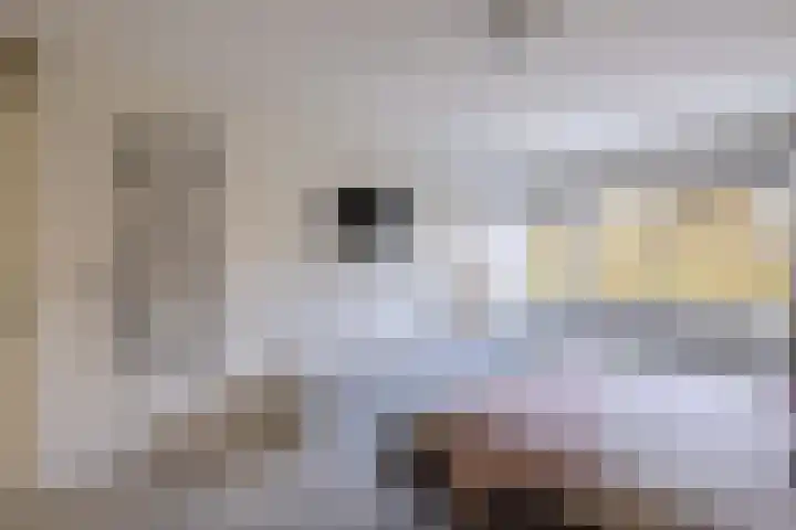 Parelmoervlinder 18 Sneek thumbnail 40