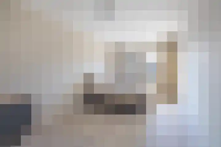 Parelmoervlinder 18 Sneek thumbnail 43