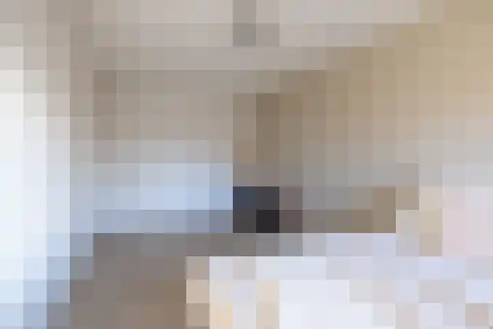 Parelmoervlinder 18 Sneek thumbnail 44