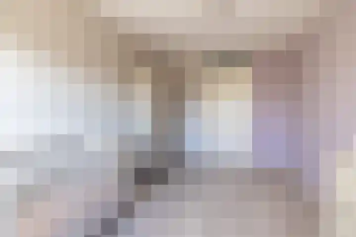 Parelmoervlinder 18 Sneek thumbnail 46